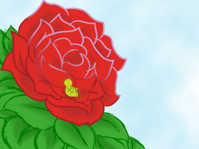 The Rose Bush