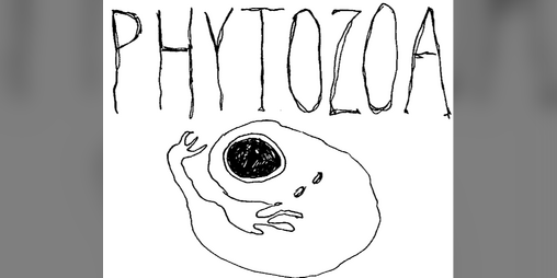 Cover image for PHYTOZOA