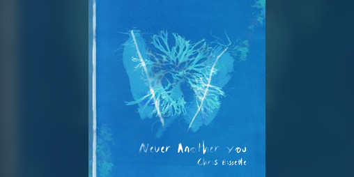 Cover image for Never Another You