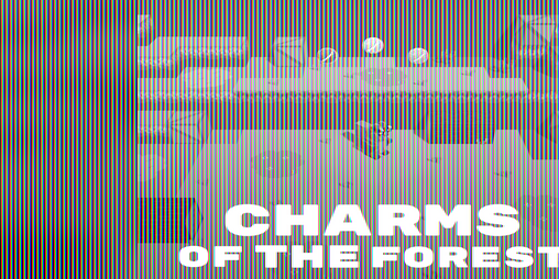 Cover image for CHARMS OF THE FOREST