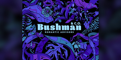 Cover image for Bushman & CO: Romantic Advisors