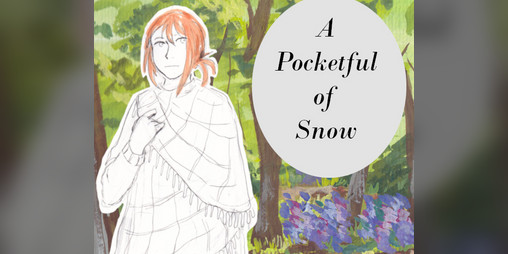 Cover image for A Pocketful of Snow