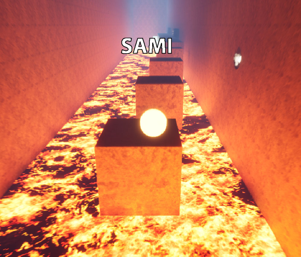 Cover image for Sami
