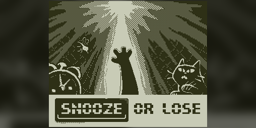 Cover image for Snooze or Lose