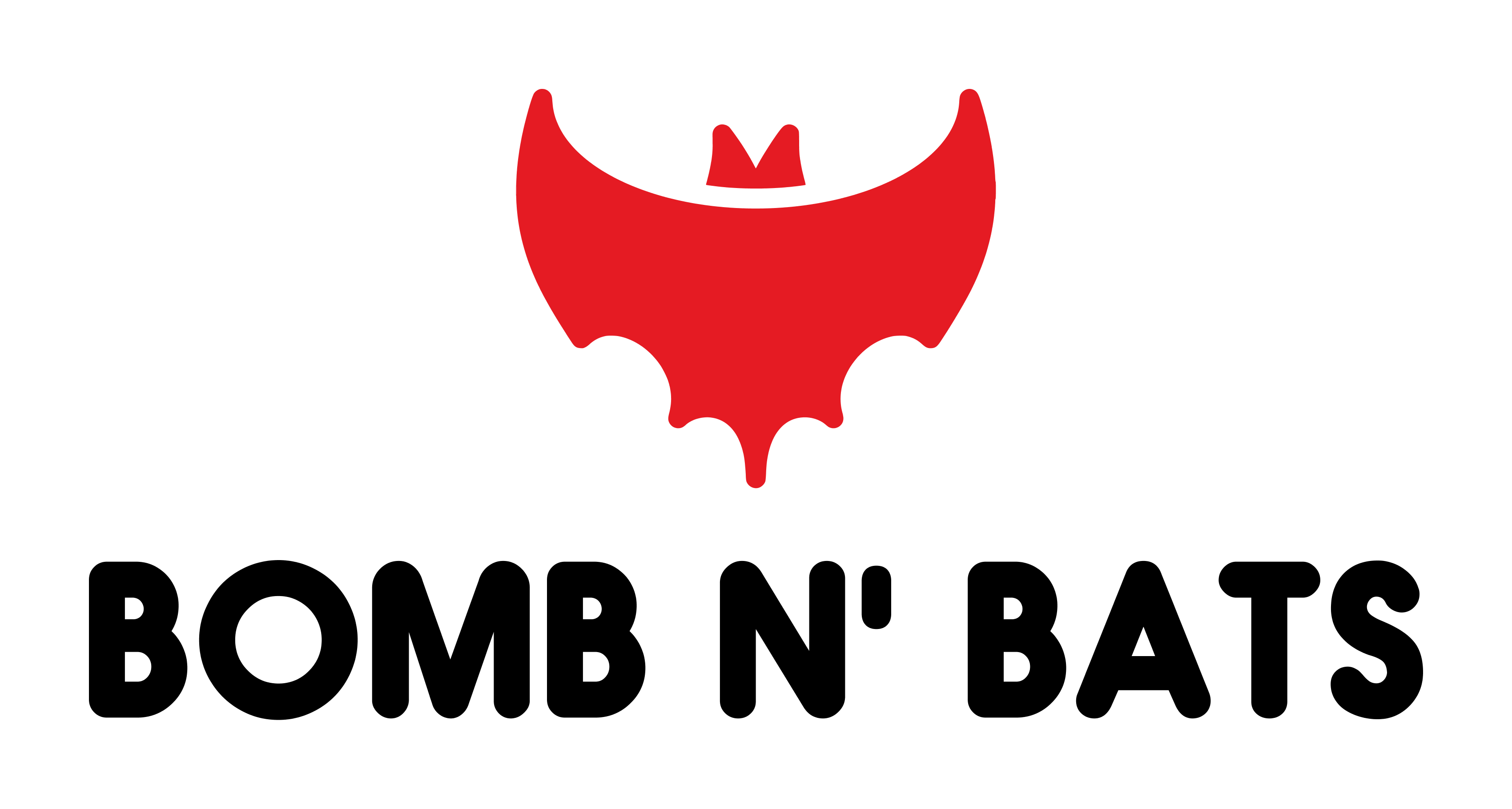 BOMB N' BATS