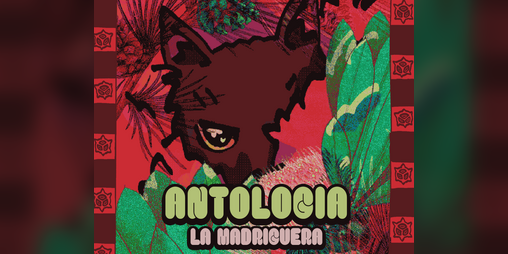 Cover image for Antología La Madriguera: Amigue Invisible (Volumen II)