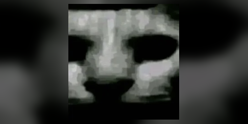 Cover image for only the canniest