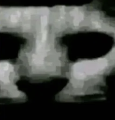 Cover image for only the canniest