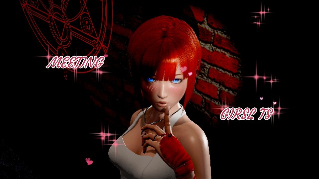Cover image for Meeting Girls TS