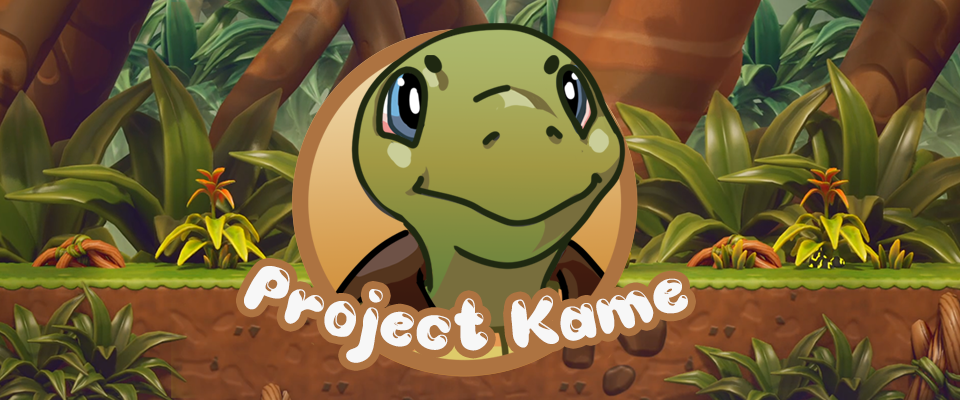Project Kame