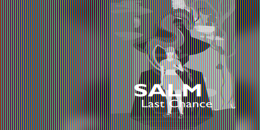 Cover image for Salm: Last Chance