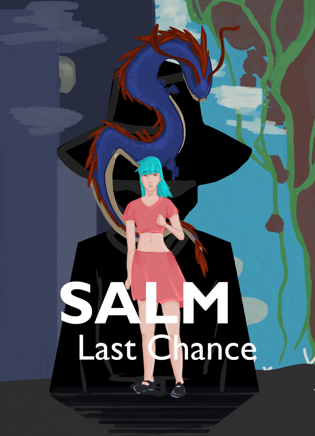 Cover image for Salm: Last Chance