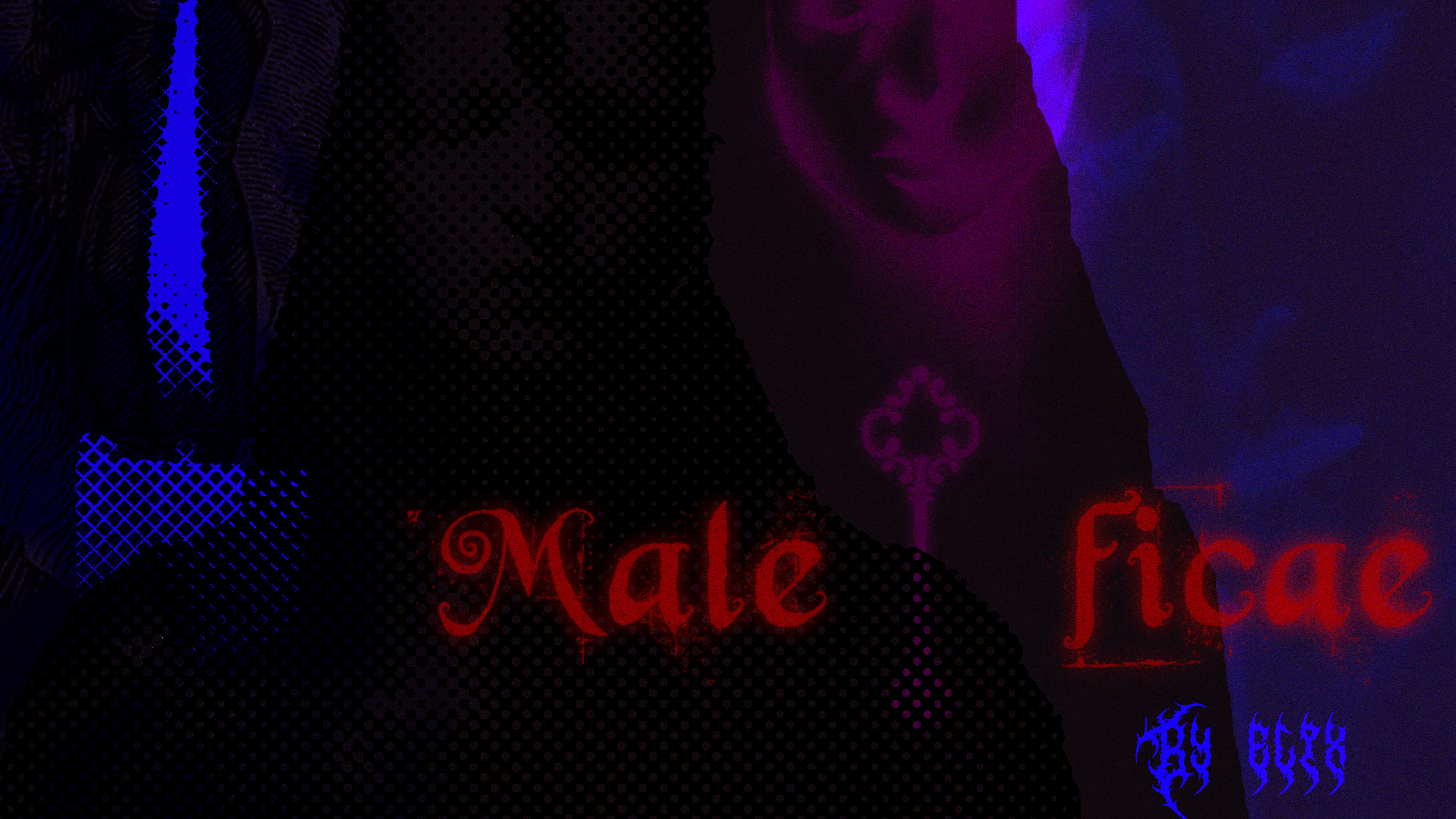 Cover image for Maleficae
