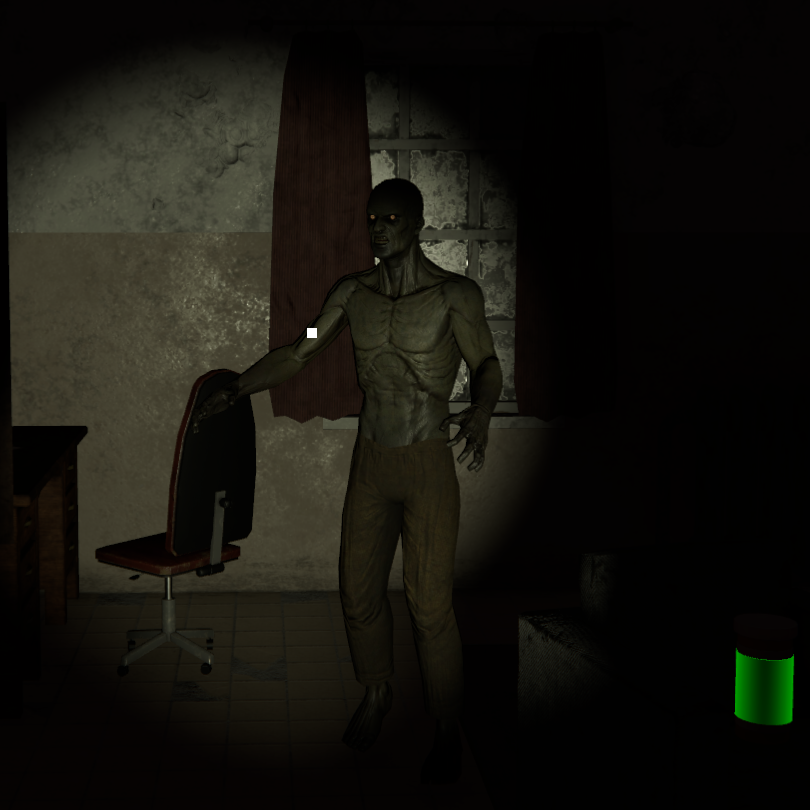Asylum Survivor