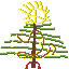 Kerst Booom