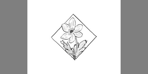 Cover image for Friendship Bouquet