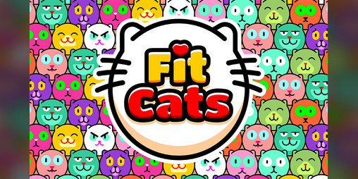Cover image for Fit Cats