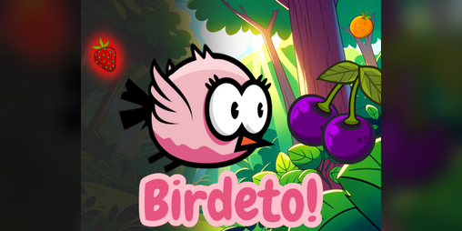 Cover image for Birdeto