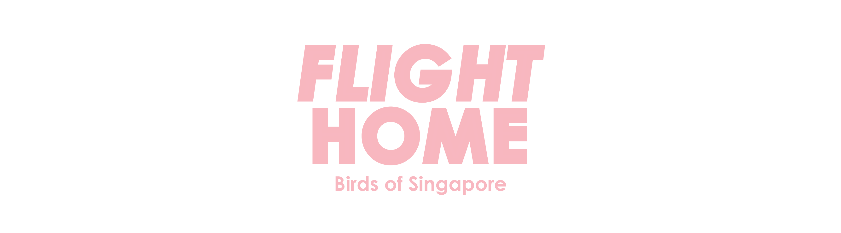 Flight Home: Birds of Singapore
