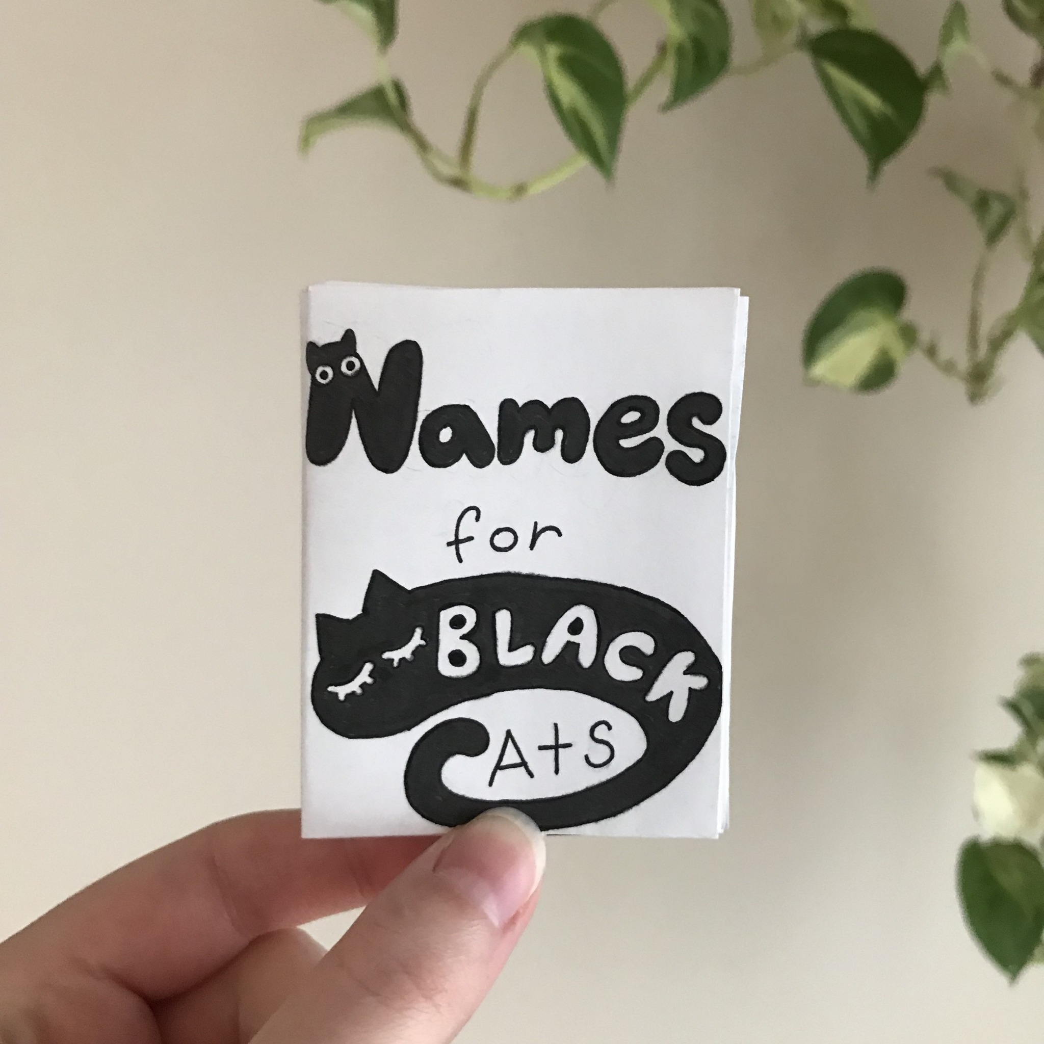 Names for Black Cats by Bernie (she/they)