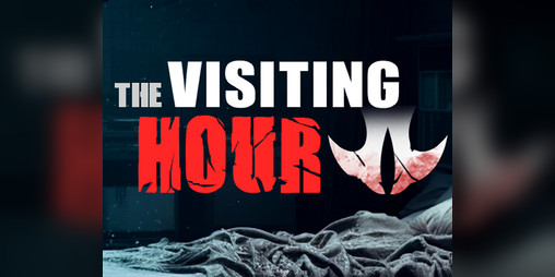 Cover image for The Visiting Hour