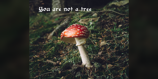 Cover image for You Are Not A Tree