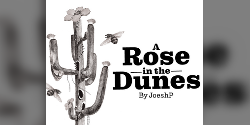 Cover image for A Rose in the Dunes