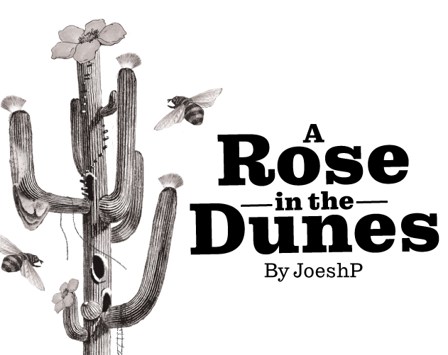 Cover image for A Rose in the Dunes