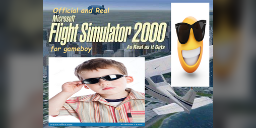 Cover image for microsoft flight simulator for gameboy the real one by microsoft