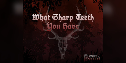 Cover image for What Sharp Teeth You Have