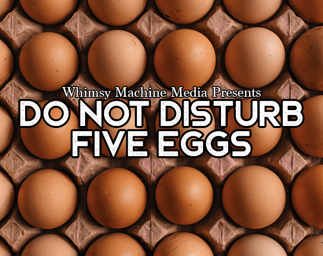 Cover image for Do Not Disturb Five Eggs
