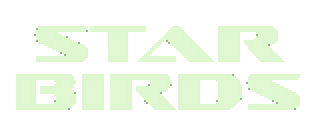 Star Birds - Operation Stonewall