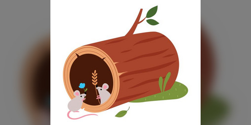 Cover image for Building Burrows