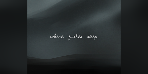 Cover image for Where Fishes Sleep