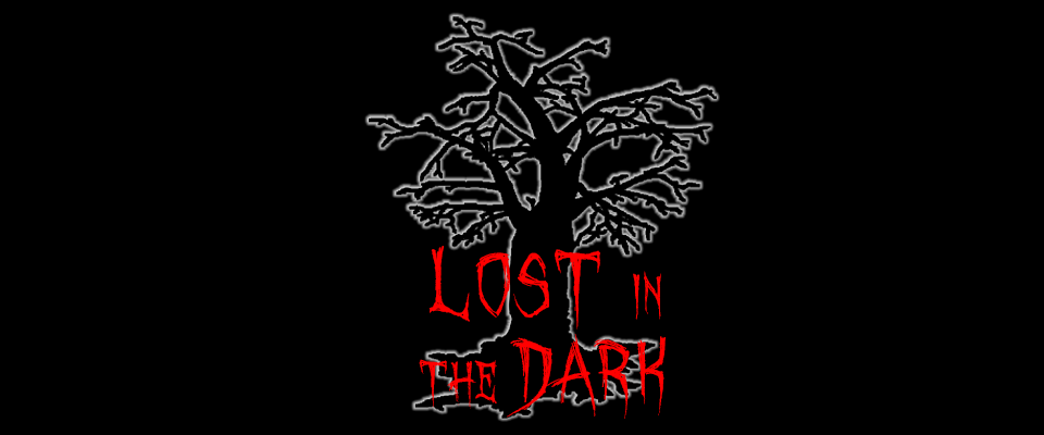 Lost In The Dark