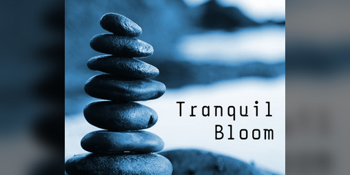 Cover image for Tranquil Bloom: A Game of Zen - PC