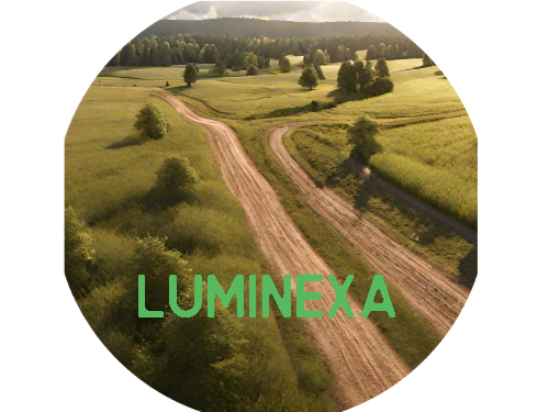Cover image for Luminexa