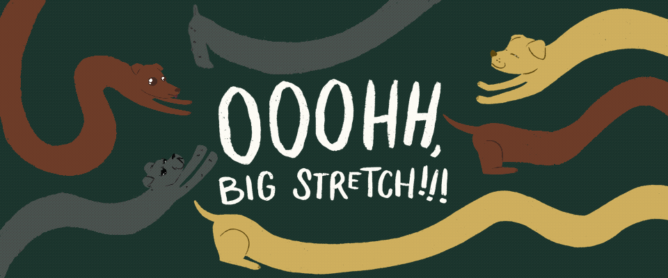 Ooohh, Big Stretch!!!