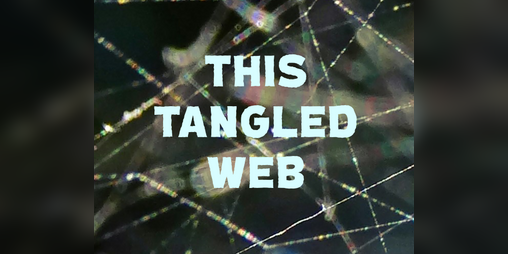 Cover image for THIS TANGLED WEB: a hunt for Bump in the Dark