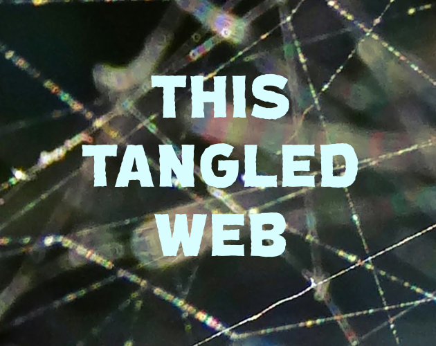 Cover image for THIS TANGLED WEB: a hunt for Bump in the Dark
