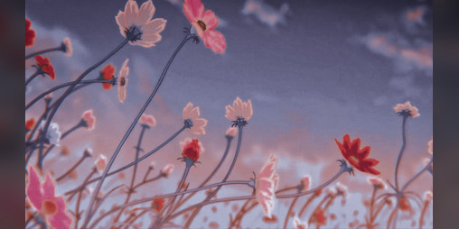 Cover image for florescence