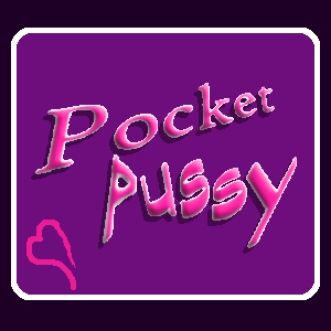 Cover image for Poket Pussy
