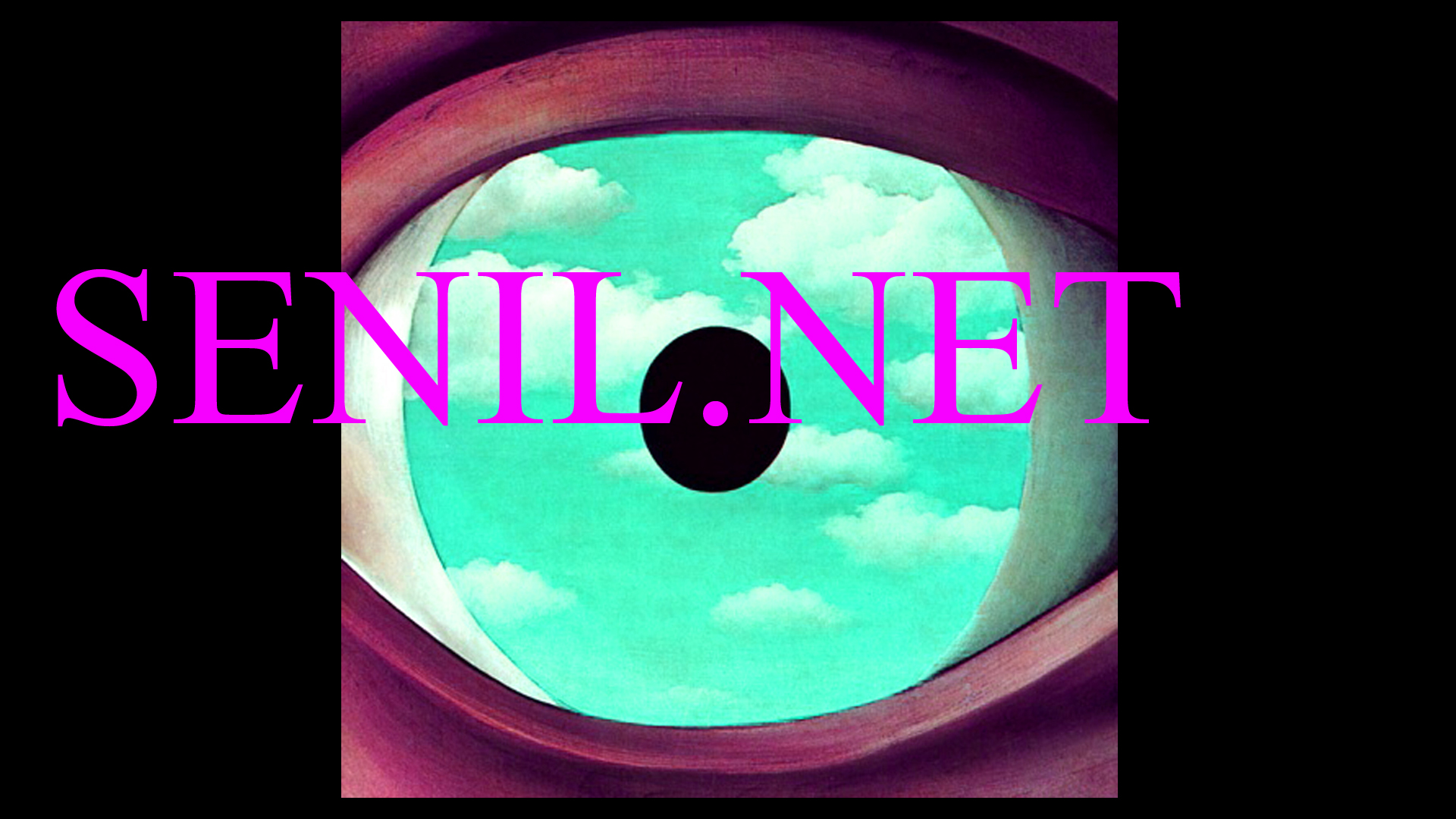 SENIL.NET