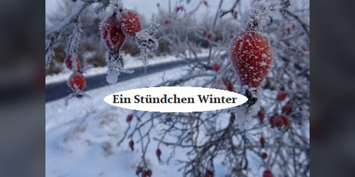 Cover image for Ein Stündchen Winter