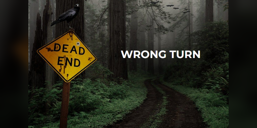 Cover image for Wrong Turn