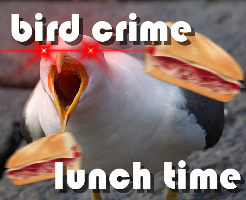 Cover image for Bird Crime Lunch Time