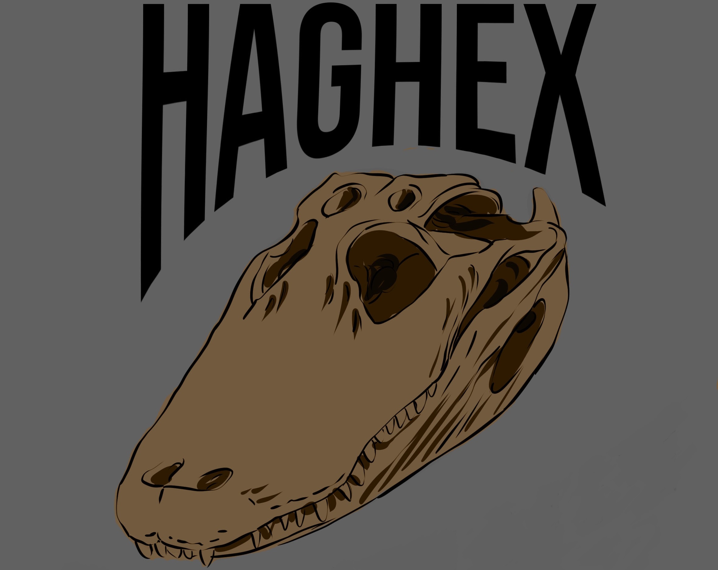 Cover image for HAGHEX