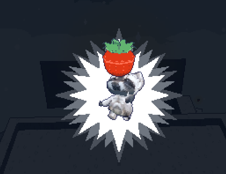 Raccoon collecting a strawberry