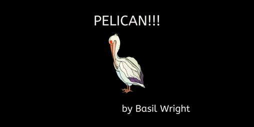 Cover image for PELICAN!!!