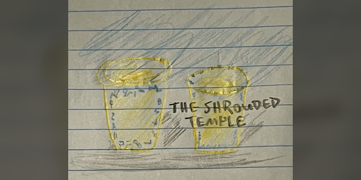 Cover image for The Shrouded Temple